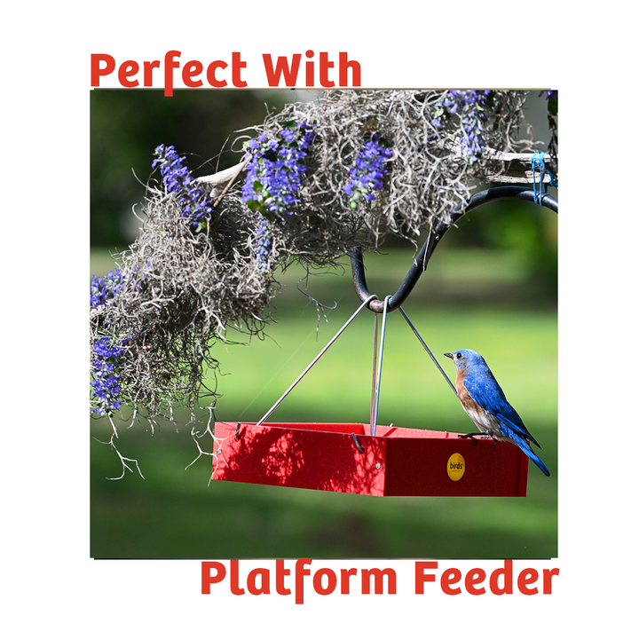 PEANUT NO MELT SUET - 12 PACK - Birds Choice