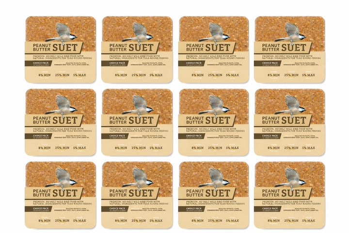PEANUT NO MELT SUET - 12 PACK - Birds Choice