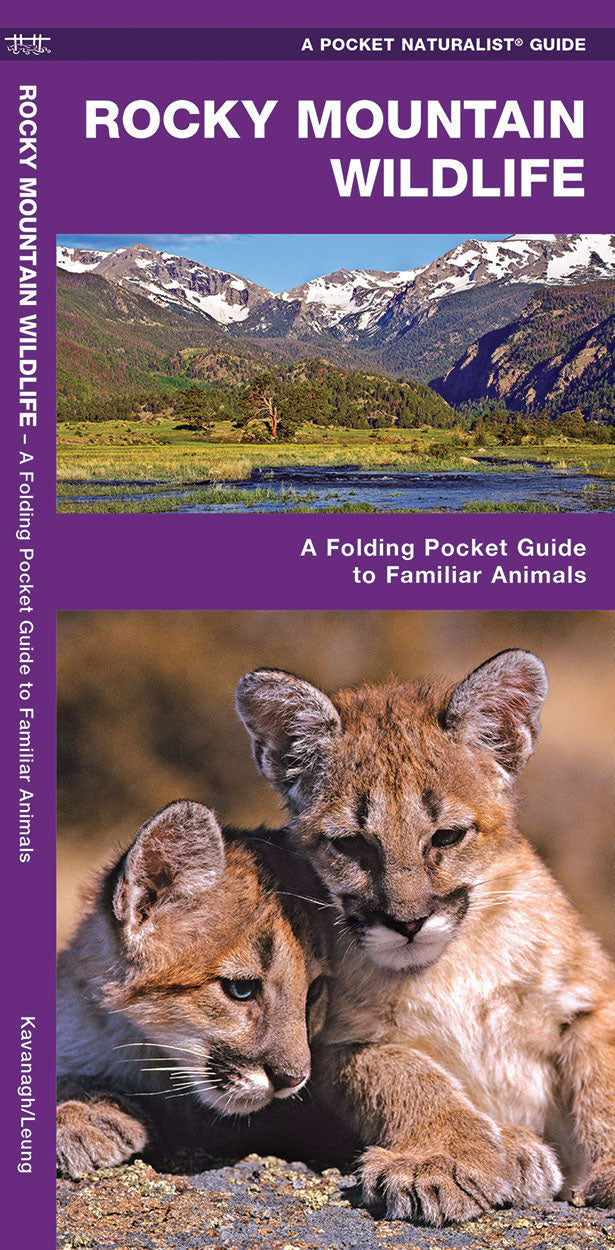 Rocky Mountain Wildlife Pocket Guide - Birds Choice