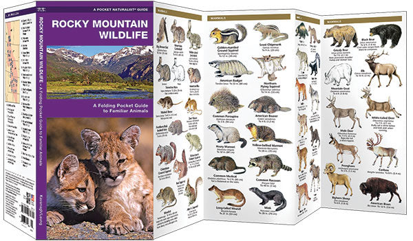 Rocky Mountain Wildlife Pocket Guide - Birds Choice