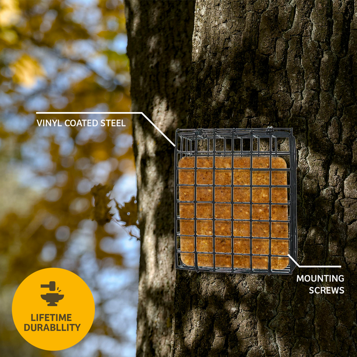 Suet Cage with Mounting Screws and Chain - Birds Choice