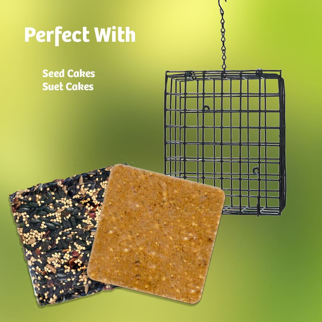 Suet Cage with Mounting Screws and Chain - Birds Choice