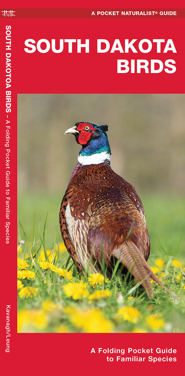 South Dakota Birds Pocket Guide - Birds Choice
