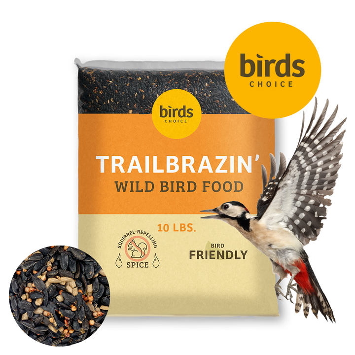 Trailblazin&