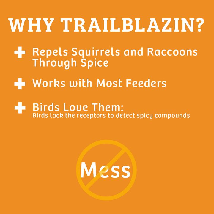 Trailblazin&
