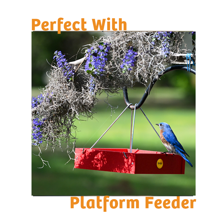 Hot Red Pepper No Melt Suet - Birds Choice
