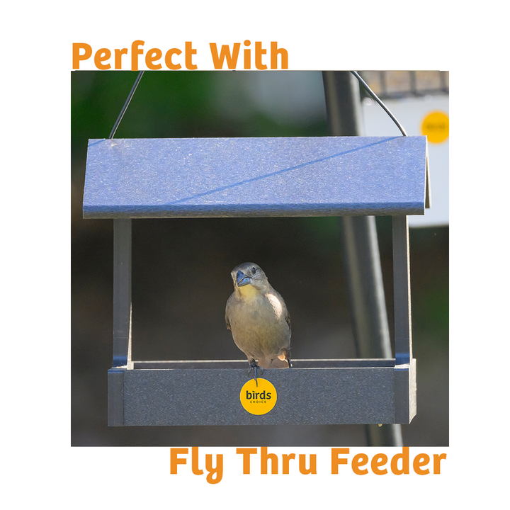 Hot Red Pepper No Melt Suet - 12 Pack - Birds Choice