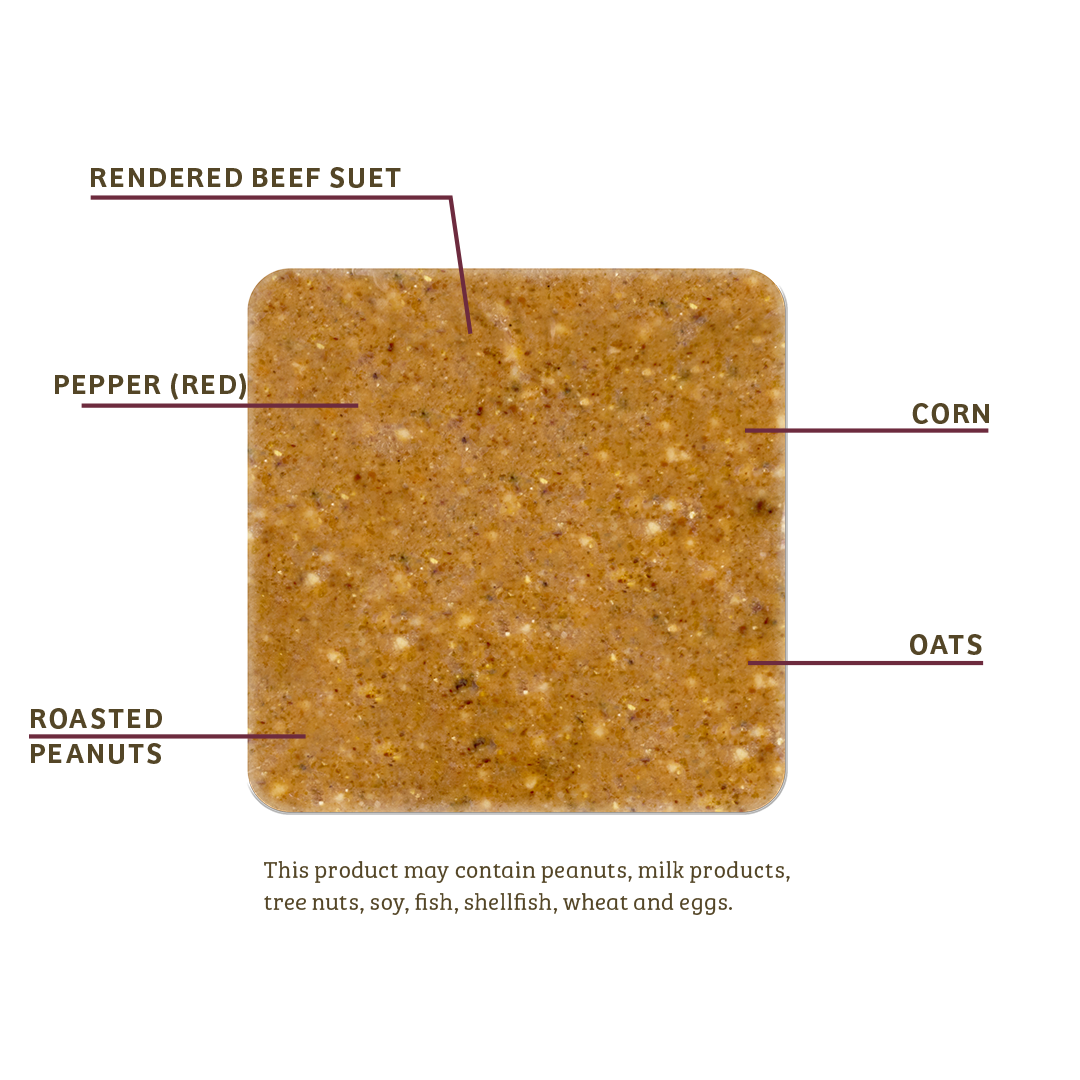 Hot Red Pepper No Melt Suet - 12 Pack - Birds Choice
