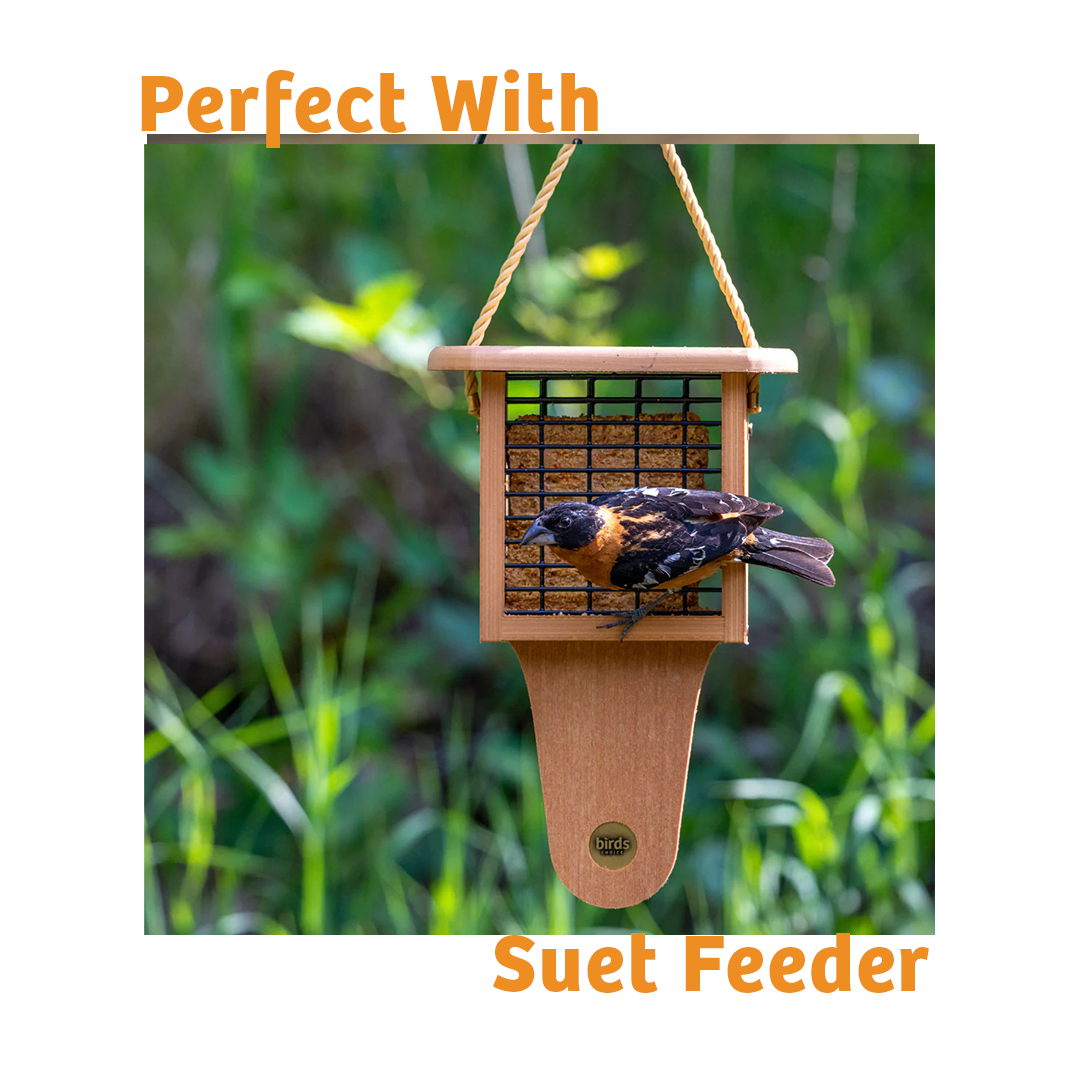 Hot Red Pepper No Melt Suet - 12 Pack - Birds Choice