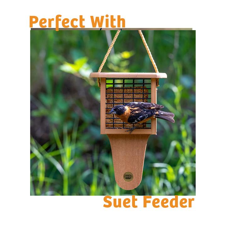 Hot Red Pepper No Melt Suet - 12 Pack - Birds Choice