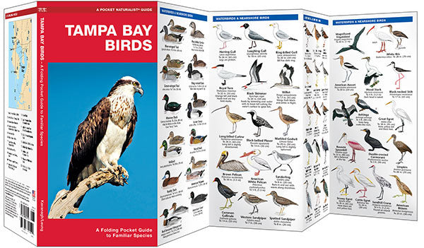 Tampa Bay Birds Pocket Guide - Birds Choice