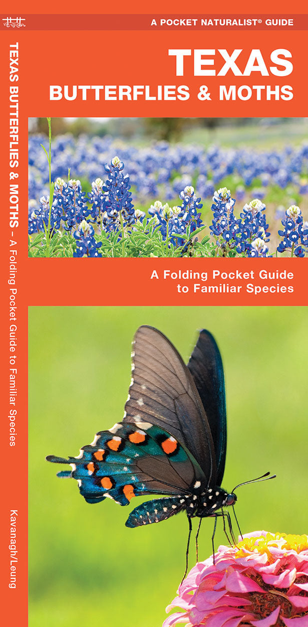 Texas Butterflies &amp; Moths Pocket Guide - Birds Choice