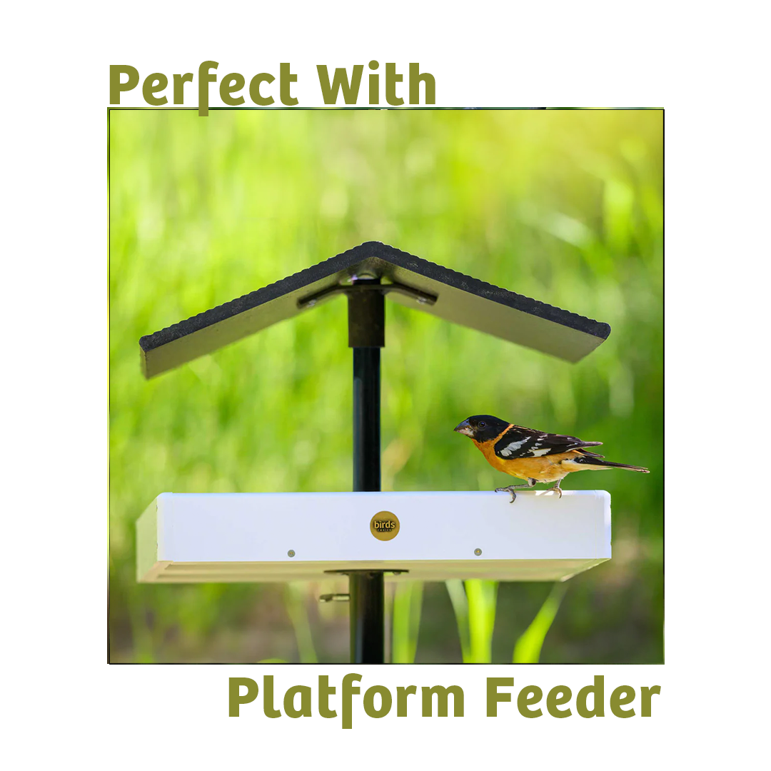 Waste-Not Wild Bird Food - 5 lbs. - Birds Choice
