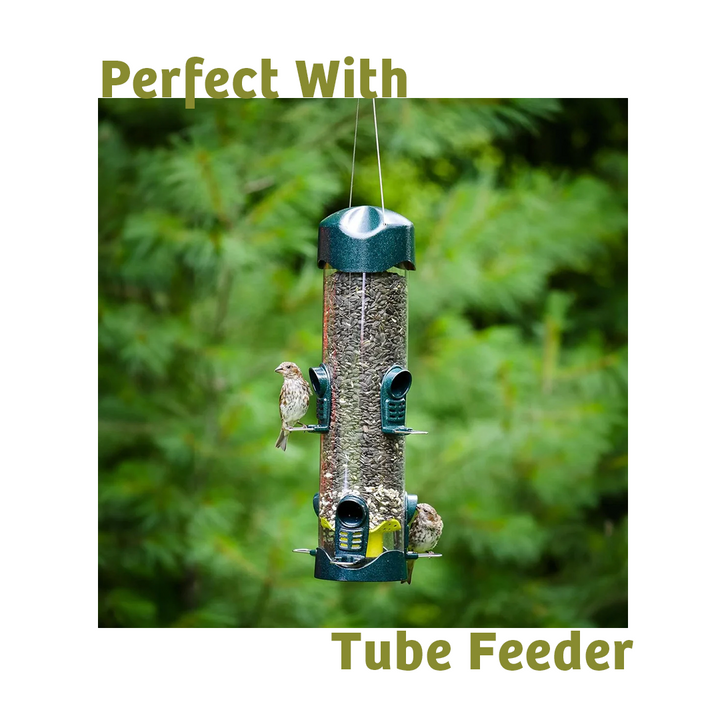 Waste-Not Wild Bird Food - 10 lbs. - Birds Choice