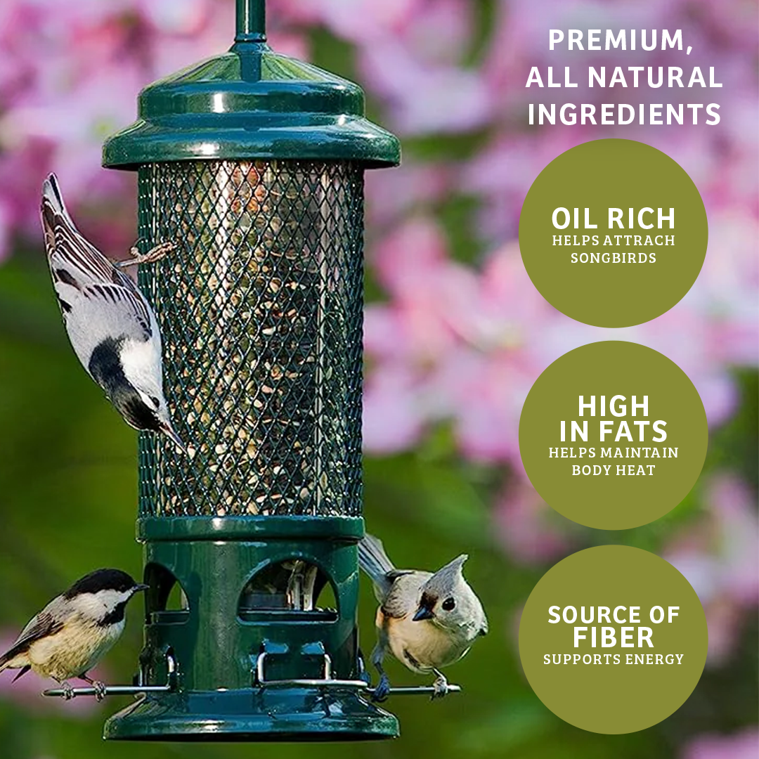 Waste-Not Wild Bird Food - 5 lbs. - Birds Choice