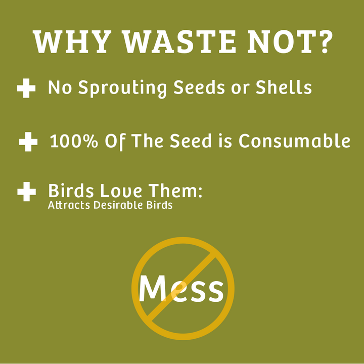 Waste-Not Wild Bird Food - 10 lbs. - Birds Choice