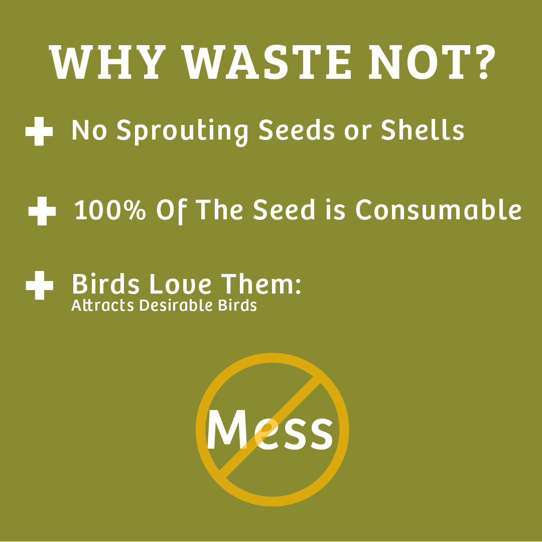 Waste-Not Wild Bird Food - 5 lbs. - Birds Choice