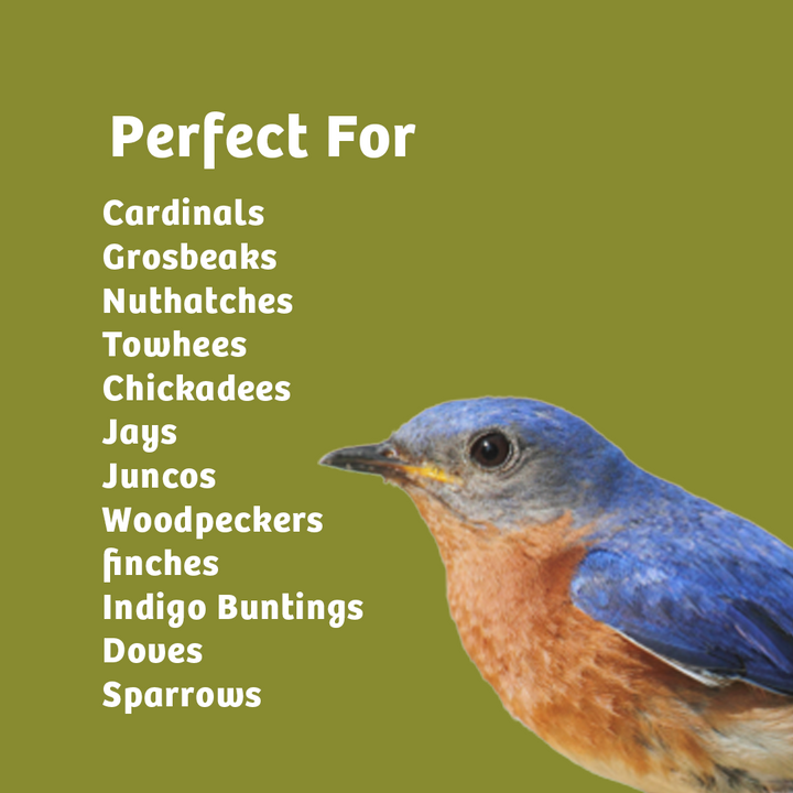 Waste-Not Wild Bird Food - 5 lbs. - Birds Choice