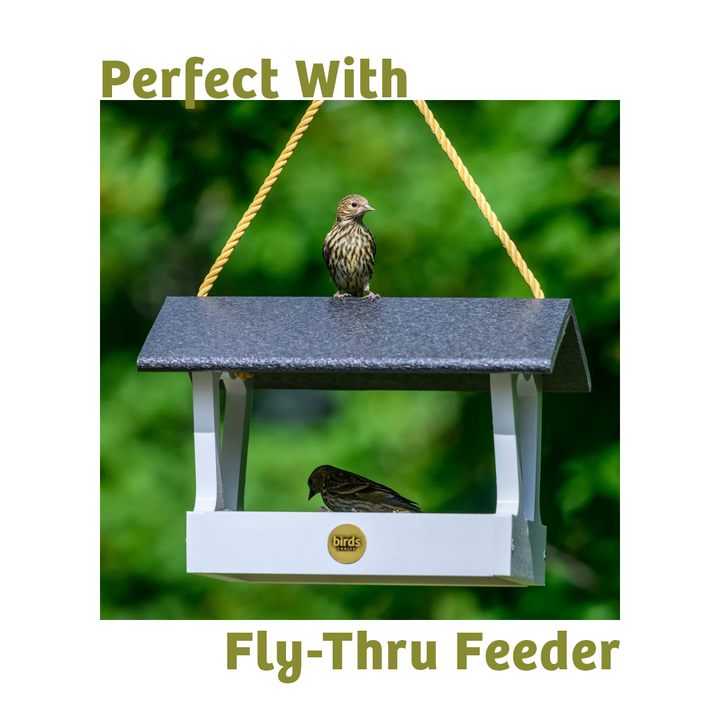 Waste-Not Wild Bird Food - 5 lbs. - Birds Choice