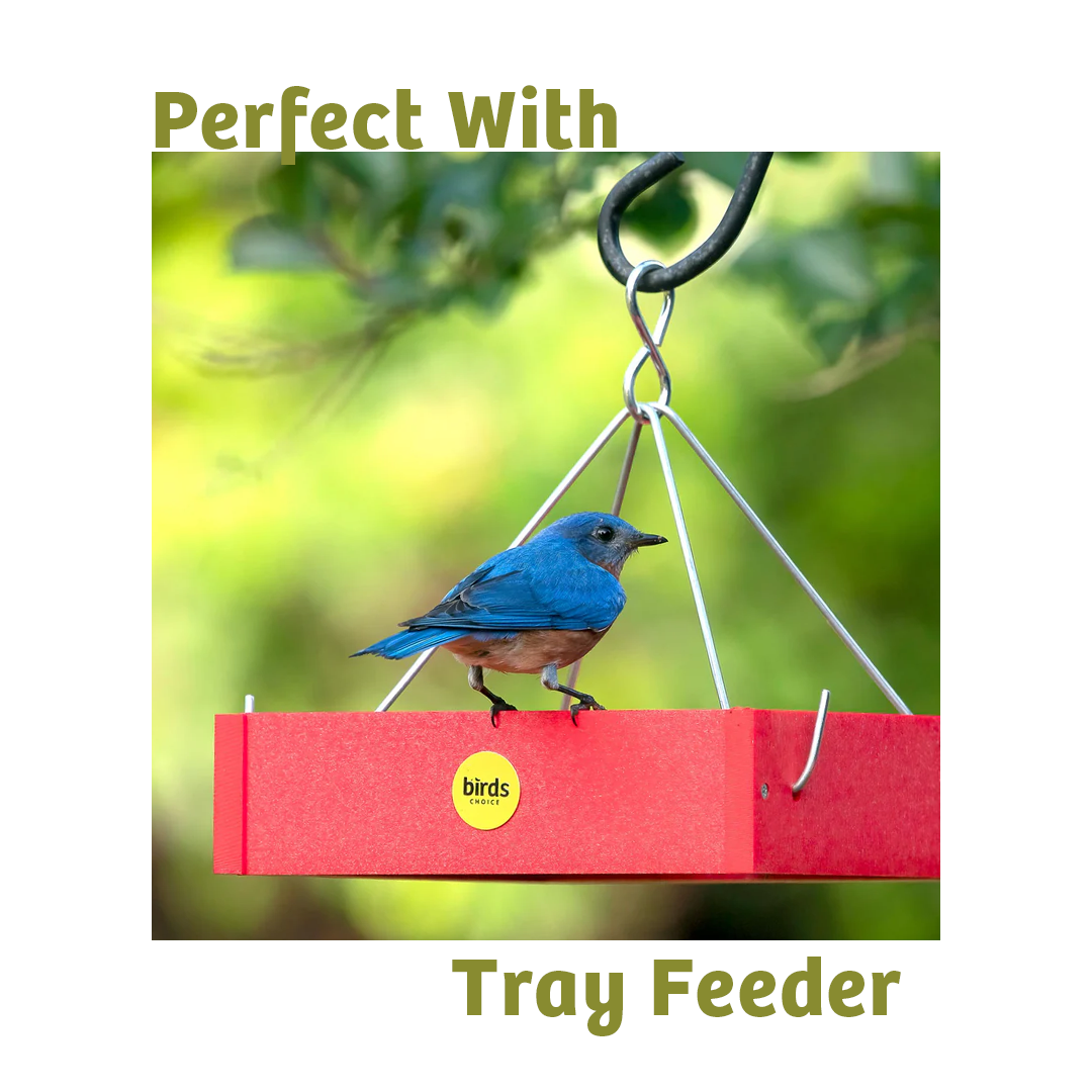 Waste-Not Wild Bird Food - 5 lbs. - Birds Choice