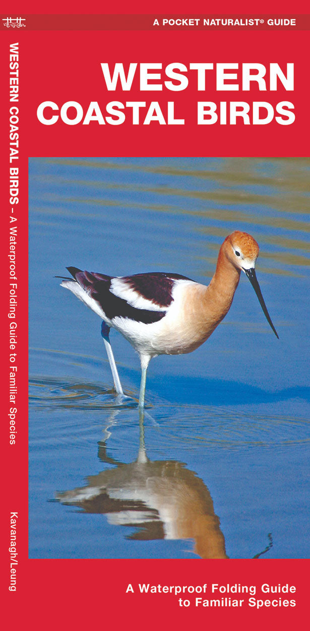 Western Coastal Birds Pocket Guide - Birds Choice
