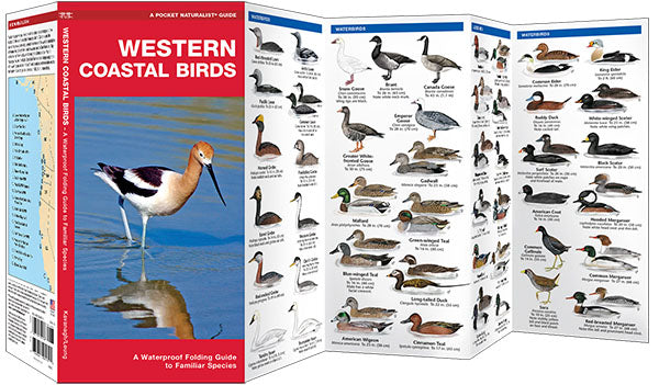 Western Coastal Birds Pocket Guide - Birds Choice
