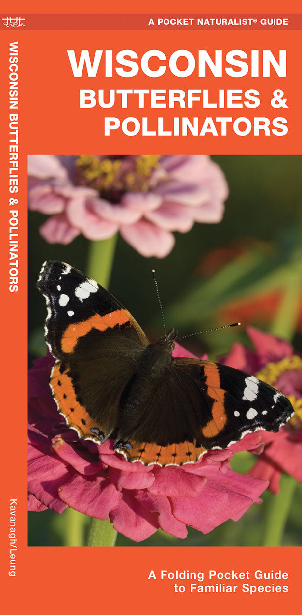 Wisconsin Butterflies &amp; Pollinators Pocket Guide - Birds Choice