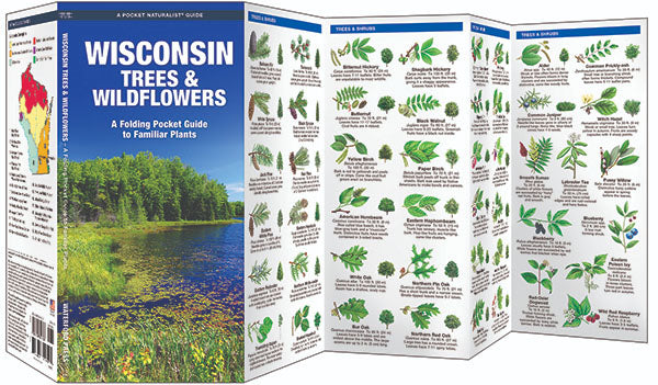 Wisconsin Trees &amp; Wildflowers - Birds Choice