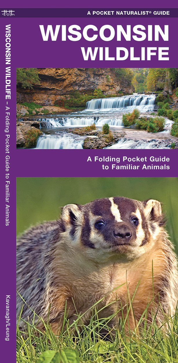 Wisconsin Wildlife Pocket Guide - Birds Choice
