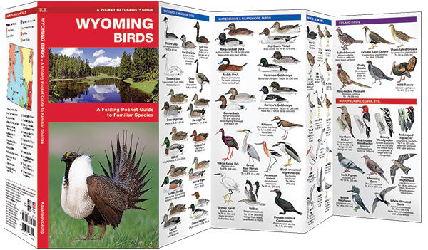 Wyoming Birds Pocket Guide - Birds Choice