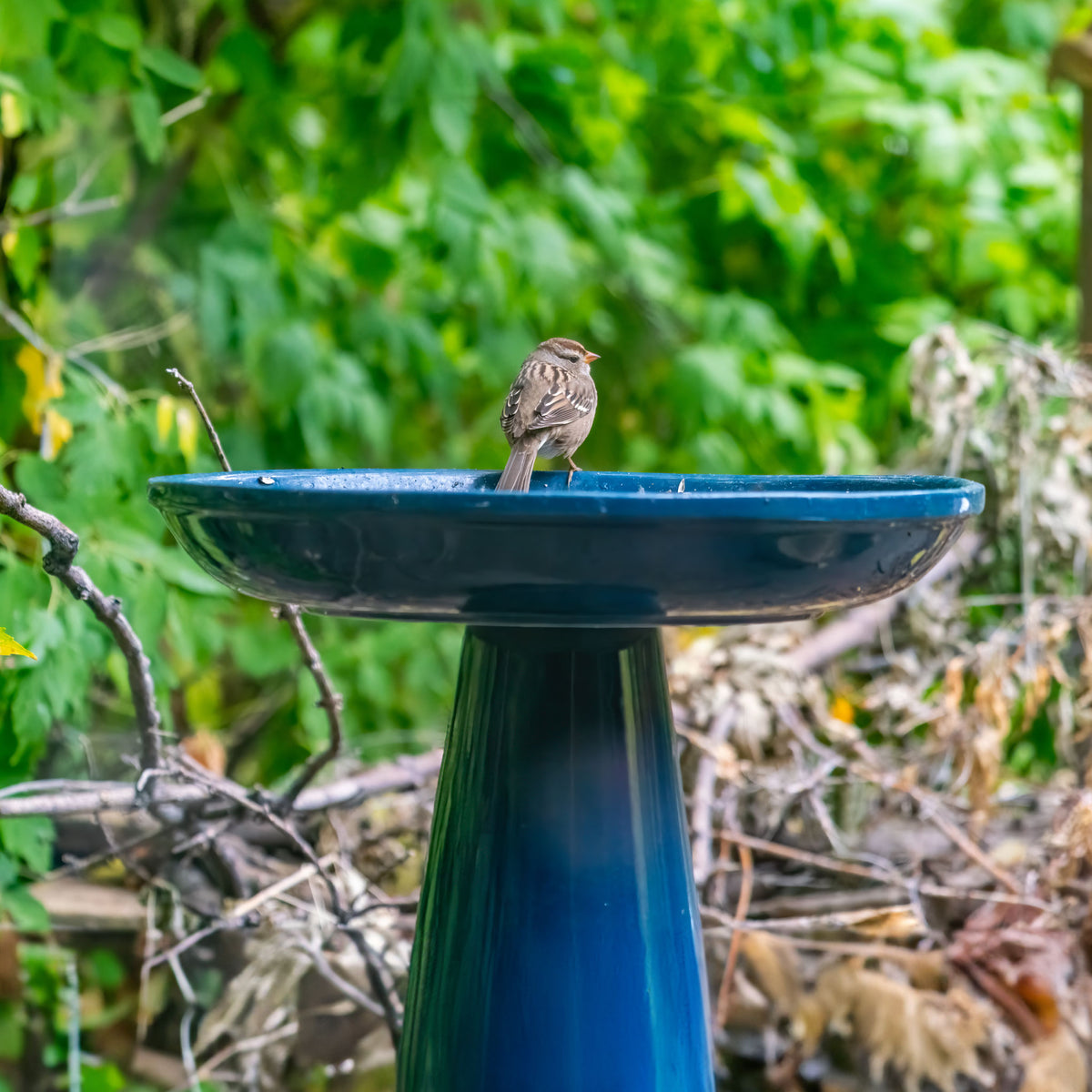 Ohio Stoneware Bird Bath in Summer Blue Made in USA - Birds Choice