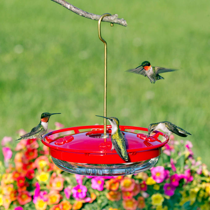 Hummzinger - HighView 12 oz. Hanging Hummingbird Feeder - Birds Choice