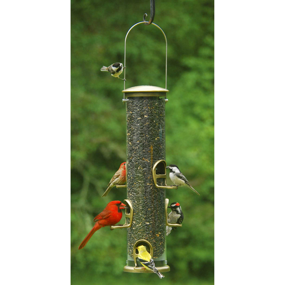 Aspects Quick Clean - Antique Brass Big Tube Bird Feeder - Birds Choice