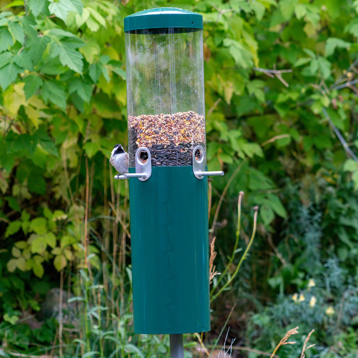 Squirrel Proof Classic Bird Feeder with Pole and Squirrel Baffle - Birds Choice