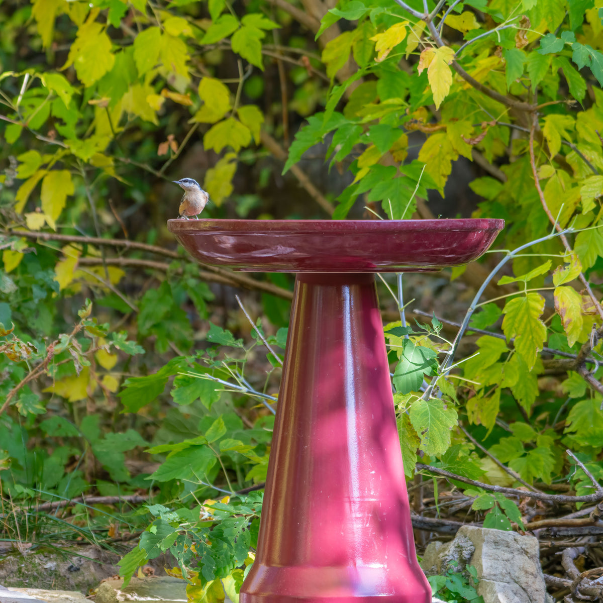 Ohio Stoneware Bird Bath in Burgundy Made in USA - Birds Choice