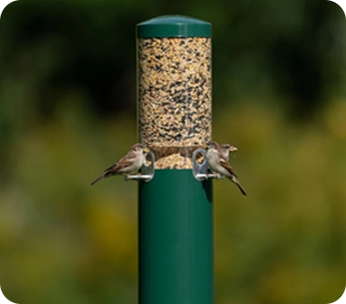 SQUIRREL PROOF FEEDER WITH POLE AND BAFFLE