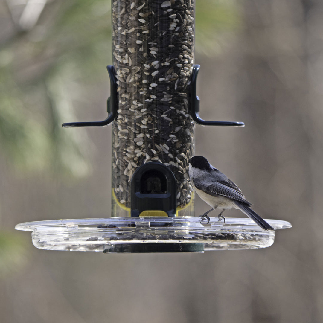 Brome Tube Solution Tray - Birds Choice
