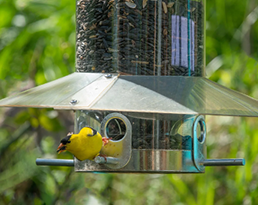 HANGING FEEDER WITH BAFFLE WEATHER GUARD